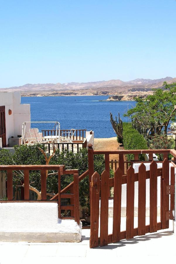 Abouseif Guest House شرم الشيخ المظهر الخارجي الصورة
